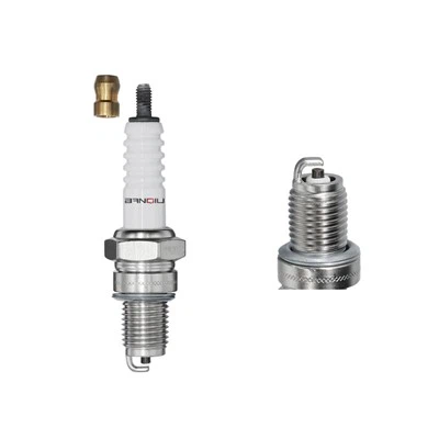 Nickel Spark Plug Cr6HSA 2983